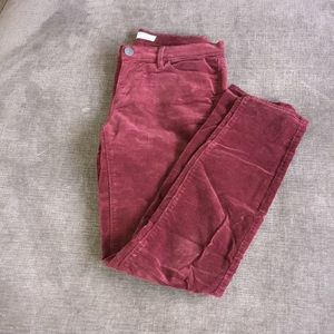 Loft maroon stretch corduroys